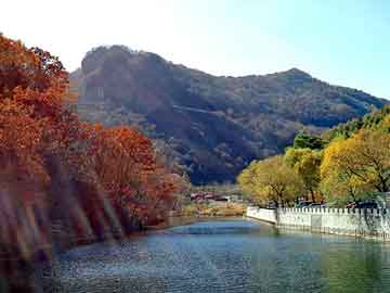 管家婆黑白马报图库，北京格力空调加氟